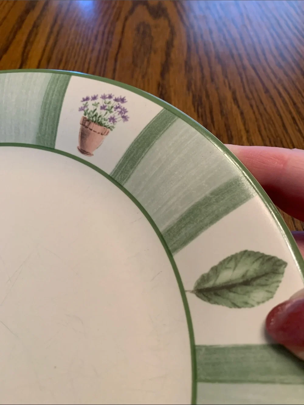 Pfaltzgraff Dinner Plate - Single Piece. Perennials Pattern.